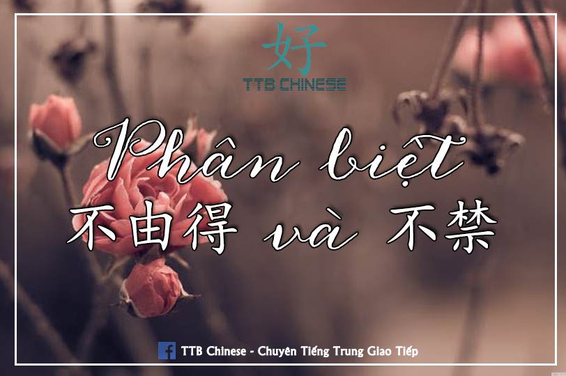 Read more about the article Phân biệt 不由得 và 不禁