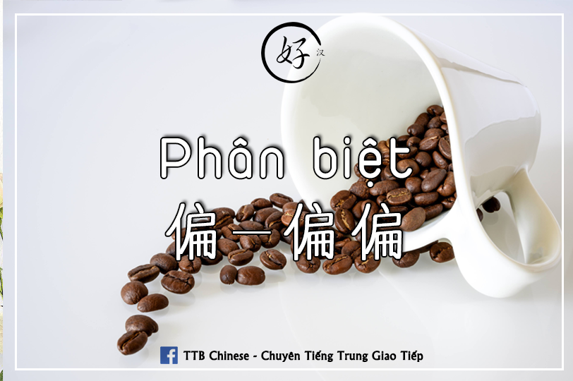 Read more about the article Phân biệt 偏 và 偏偏