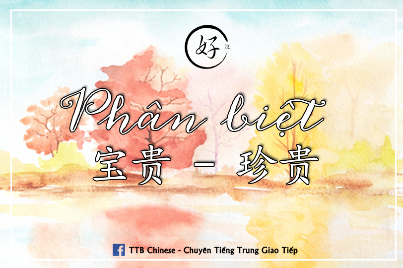 Read more about the article Phân biệt 宝贵 và 珍贵