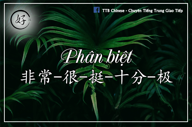 Read more about the article Phân biệt 非常- 很- 挺- 十分- 极