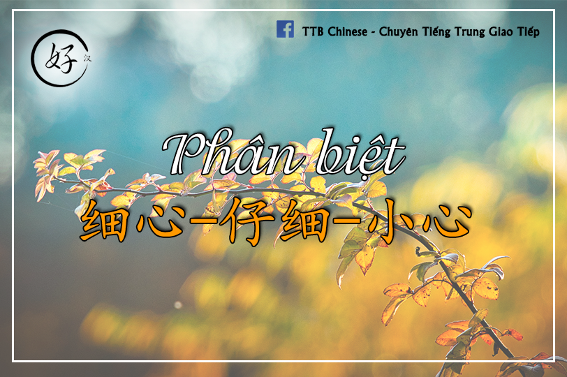 Read more about the article Phân biệt 细心 – 仔细 – 小心