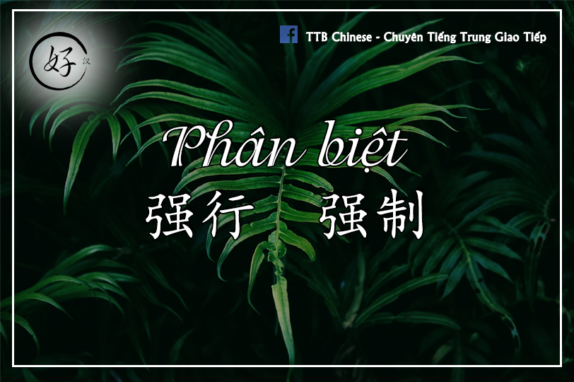 Read more about the article Phân biệt 强行 và 强制