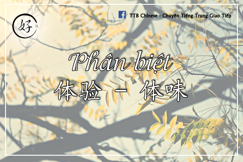 Read more about the article Phân biệt 体验 và 体味