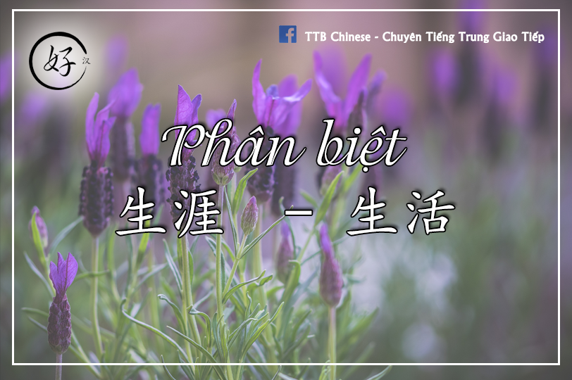 Read more about the article Phân biệt 生涯  và 生活