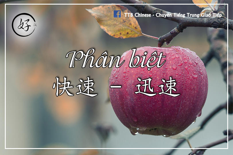 Read more about the article Phân biệt 快速 và 迅速