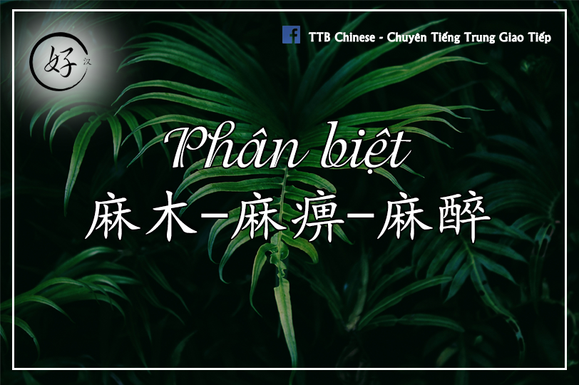 Read more about the article Phân biệt 麻木 – 麻痹 – 麻醉