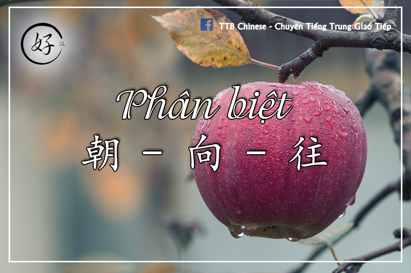 You are currently viewing Phân biệt 朝 – 向 – 往