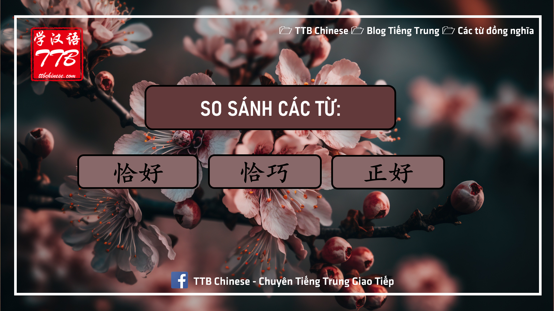 Read more about the article Phân biệt 恰好 – 恰巧 – 正好 